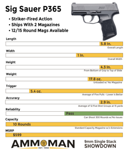 4c6a02e8-4829-54c1-9b25-8cabc4574b5f SIG Sauer P365 Pistol 9mm Luger 3.1″ Barrel with manual safety 10‑round polymer black