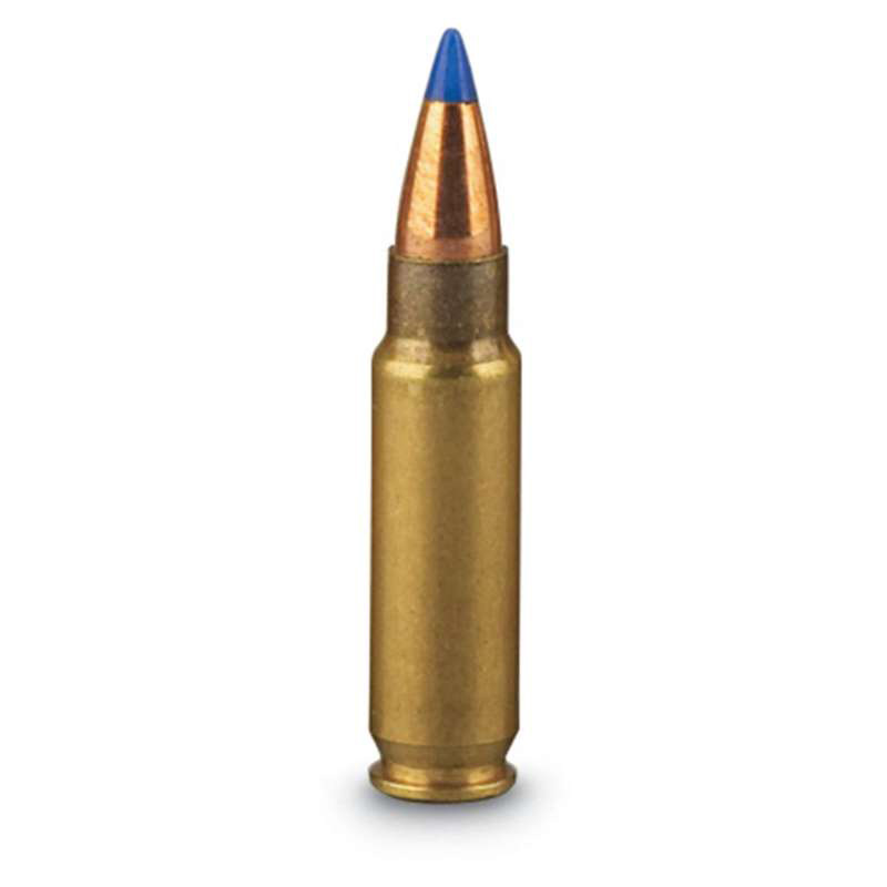 best ammunition for range shooting